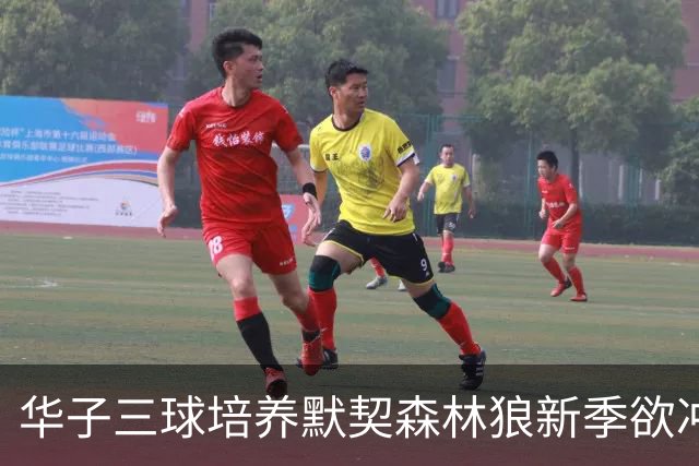 华子三球培养默契森林狼新季欲冲佳绩