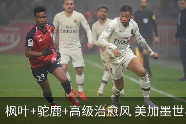 枫叶+驼鹿+高级治愈风 美加墨世界杯加拿大赛区开幕